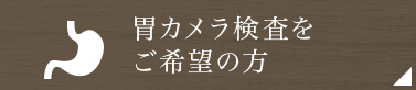 胃カメラページへのリンクボタン