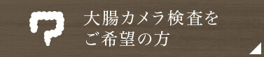 大腸カメラページへのリンクボタン